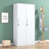 圣斯顿SDC0201-WT更衣柜灰白色1850*900*500mm(拆装)(台)