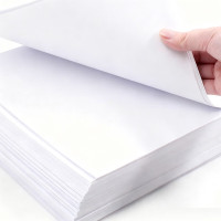 天章 A4打印纸 70g 500张*5包 双面打印复印纸 纸张洁白顺滑不卡纸 整箱2500张