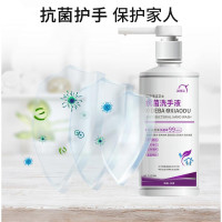 洗得宝抗菌洗手液500ml适用于家庭学校公共场所卫生间清洁去污不伤手 抗菌消毒液500ml