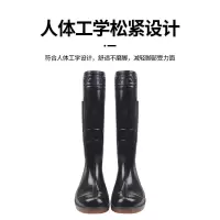 胶靴 贸正/MAOZHENG 819 高筒 通用 秋季 43码