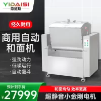 意黛斯(YIDAISI)商用和面机 饭店食堂揉面搅面自动和面机 100KG/次 YDS-HWY100