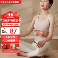 和正无烟艾灸罐 随身灸家用养生艾灸仪艾条艾柱艾灸贴便携式艾灸仪器小筒灸小悬灸节日礼物生日礼 艾灸罐 两只装 40只艾柱+
