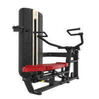 舜灏 SH-MZM-003A 推胸举肩训练器双功能(单位:台)