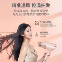 松下(Panasonic)电吹风机家用1700W大功率负离子便携可折叠恒温护发吹风机 EH-NE61-P405[送礼优选