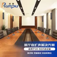 润普音频扩声集成会议解决方案(会议麦克风+音响+调音台+音频处理器+数字移频器+时序电源)RP-YPKS380