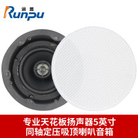 润普Runpu国产化专业天花板扬声器5英寸同轴定压吸顶喇叭音箱报告厅礼堂会议室大功率音响RP-THD968
