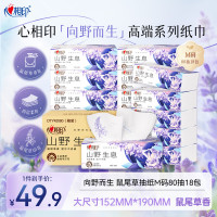 DT42080(箱装)心相印向野而生80抽18包四层塑装面巾纸(鼠尾草印花)M码