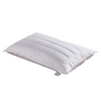 恒源祥 1JJ1212羽毛荞麦枕48*74cm单位:床