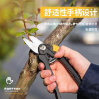 得力(deli)高碳钢刀头花木剪修枝剪果树剪粗枝剪刀可剪0-10mm DL580101