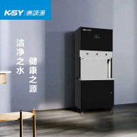 康颂源 复兴系列反渗透净化饮水机开水器直饮净水机KSY-Y2-MD 黑色 BDZSSC