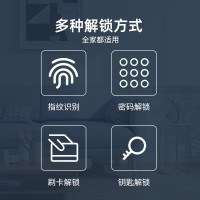 歌派 G5(标准版)指纹锁 BDZSSC