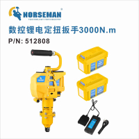 诺斯曼 数控无刷锂电定扭扳手3000N.m 二电一充 512808 (1台) BJDT