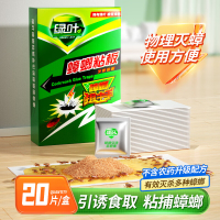 绿叶 蟑螂粘板杀蟑螂杀蛮蠊家用蟑螂捕捉器带诱饵20片/盒 19V1 BJDT
