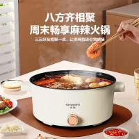 创维 家用多功能电炖锅 F227 6L