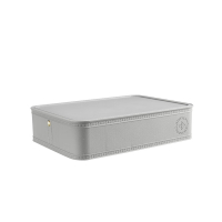 全格 仿皮纹内衣收纳盒中号( 10格) SN102-10G BJDT