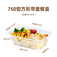 特美居 一次性长方750型光面高韧性带盖打包盒300套装透明TMJ-2040 BDZSSC