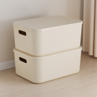 全格 收纳箱中号两只装 SN105-11L BDZSSC