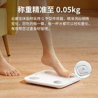 云康宝 智能体脂称 CS20H 充电款