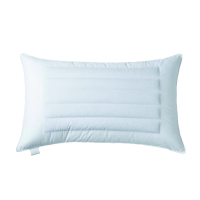 千丰QFZT12 羽绒枕+荞麦 枕芯(计价单位:件) 白色