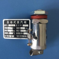 萨威帝尔 安全阀 TYF10.165/8