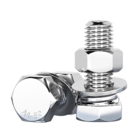 萨威帝尔 不锈钢螺栓(M14*80)