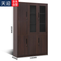 天迎文件柜办公室 衣柜一体铁皮柜钢制书柜储物柜TY-WJ6110