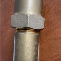 钢盾 安全阀 TSF710049(公称通径DN15)