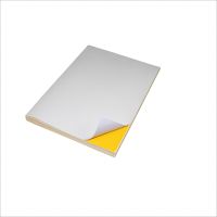 彩标 CB100-100 100*100mm 标签胶贴 1.00 卷/片 (计价单位:片) 白色