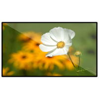 昌裕(CHANGYU) CY-GGJ-49BG 49英寸 壁挂广告机 (计价单位:台) 银色