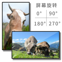 昌裕(CHANGYU) CY-GGJBG-Y55 55英寸 壁挂广告机 (计价单位:台) 黑色