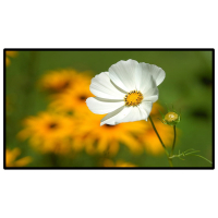 昌裕(CHANGYU) CY-GGJBG-Y75X 75寸 壁挂式广告机 (计价单位:台) 黑色