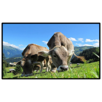 昌裕(CHANGYU) CY-GGJ-DCBG22 壁挂 广告机 (计价单位:台) 黑色