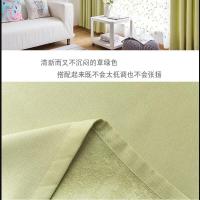 臻远 ZY-YD-100塑料 1m*1m 门帘 (计价单位:个) 透明