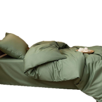 成龙CLSJ005 被芯褥子套装 绿色