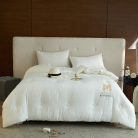 伊伊爱 BZ0TDC2201157L /150*200cm约4斤 铂爵大豆秋冬被 1.00 件/条 (计价单位:条) 本