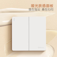 公牛(bull) 墙壁二位开关10A