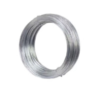 禾呈心采 铁丝 10#