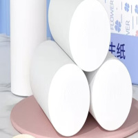 日诺Rinuo无尘纸抽超柔亲肤120抽大包装厨房用纸抑菌防螨无香精