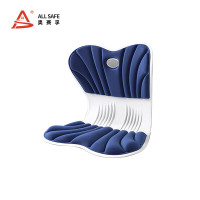 奥赛孚 ASF-KD300 410*320*350MM 靠垫 1.00 件/个 (计价单位:个) 蓝色