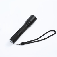 和齐顺(Hikesun) HQS-SD7620 2W LED强光手电 (计价单位:个) 黑色