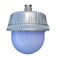 立华王(LihuaKing) LH6100A-A 30W IP65 电压AC220V 光源色温5700K LED泛光工作灯 (计价单位:个) 银灰色