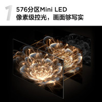 TCL 65Q10G Pro 65英寸Mini LED量子点高清智能全面屏 电视机 (计价单位:台) 枪色