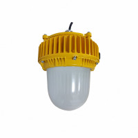 顶火 GMD8160 电压AC220V 功率60W IP66 防爆标志Ex db IIC T6 Gb,Ex tb III