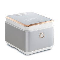 大宇(DAEWOO) FB01 电饭煲 (计价单位:台) 银色