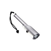 典润 DJ-15 3W IP67 DC3.7V 6500K 袖珍型防爆电筒 (计价单位:个) 白色