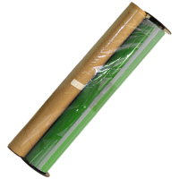 中电鼎润 300mm*100m 绿 色带 1.00 盒/个 (计价单位:个) 绿色