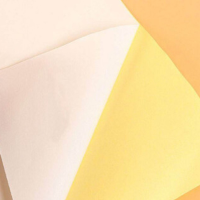 彩标 WT-CTK700 哑光打印专用标贴 1.00 盒/平方米 (计价单位:平方米) 白色