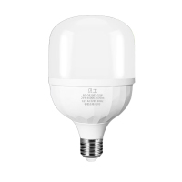 贝工 BG-QP100T/25W E27 6500K 白光 LED灯泡 (计价单位:个) 白色