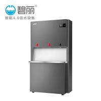碧丽 JO-K100L-RO 100*47*177cm 开水器 (计价单位:台) 黑色
