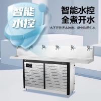 碧丽 温开水饮水机净水机一体 JO-6E 商用净水器 (计价单位:台) 银色